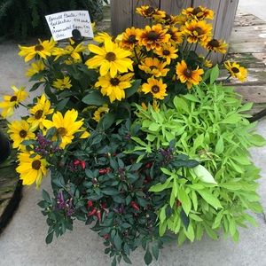 Meet your Posher, Natalie